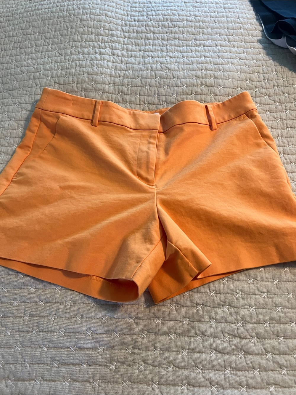 LOFT Women's Orange The Riviera Tailored Shorts